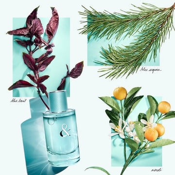 TIFFANY & CO Tiffany & Love For Her Eau De Parfum • 50ml