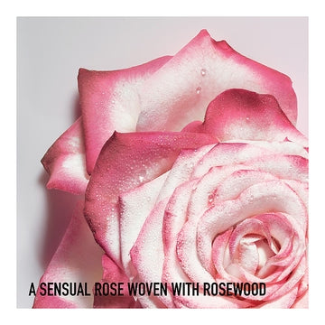 Dior Miss Dior Eau De Parfum • 50ml